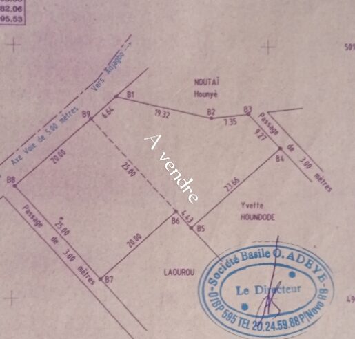 DEUX PARCELLES A VENDRE OUEDO AVEC TF A COTE DE L’ECOLE PRIMAIRE EN BORDU DE LA VOIE