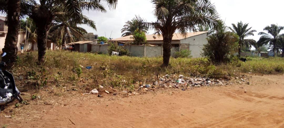 DEUX PARCELLES A VENDRE OUEDO AVEC TF A COTE DE L’ECOLE PRIMAIRE EN BORDU DE LA VOIE