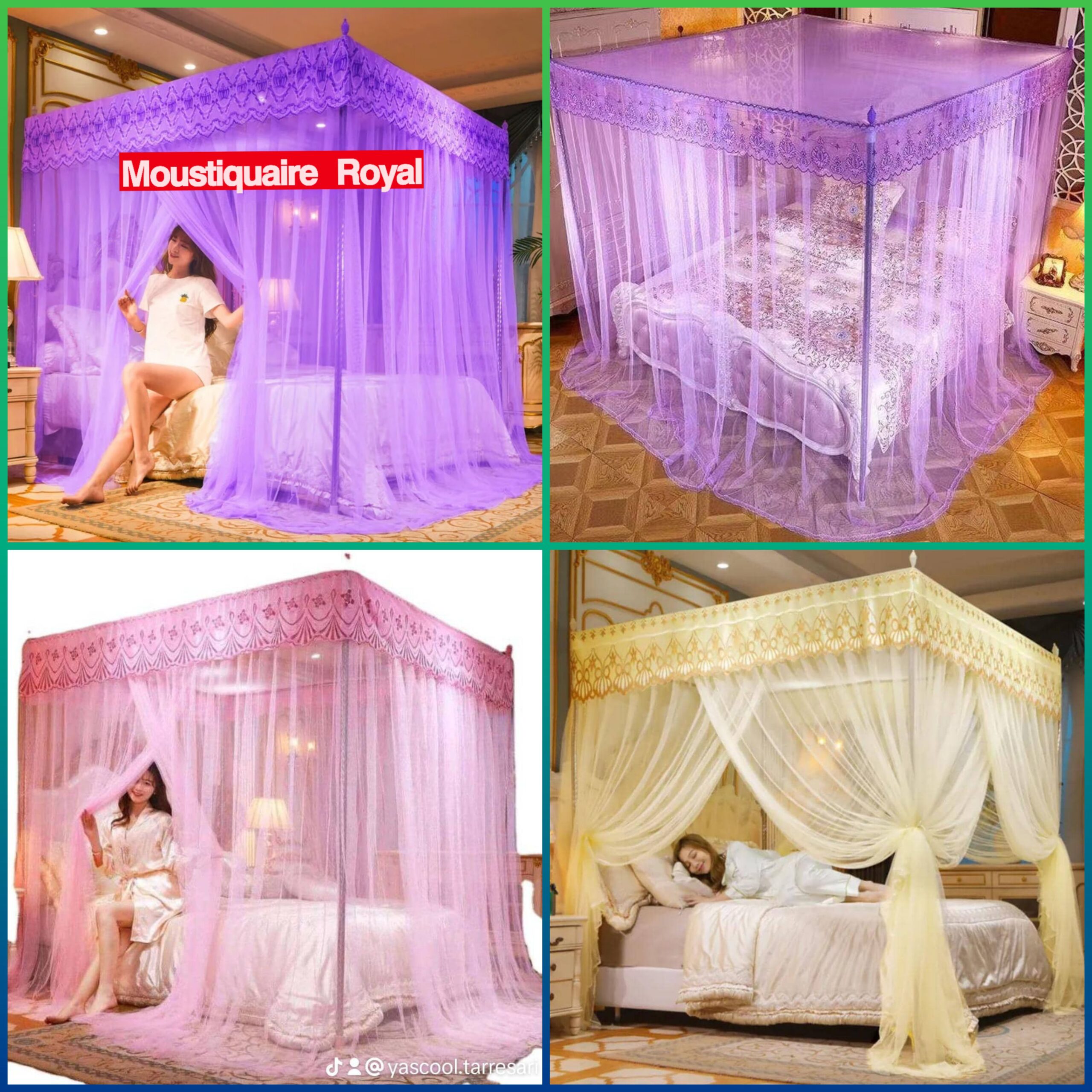 Moustiquaire Royal 🤴