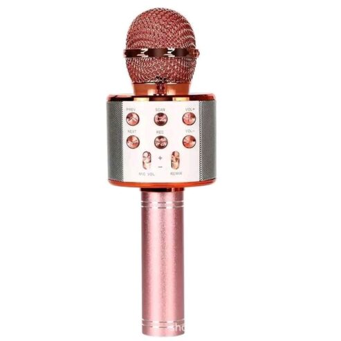 Microphone karaoké sans fil Haut-parleur portable