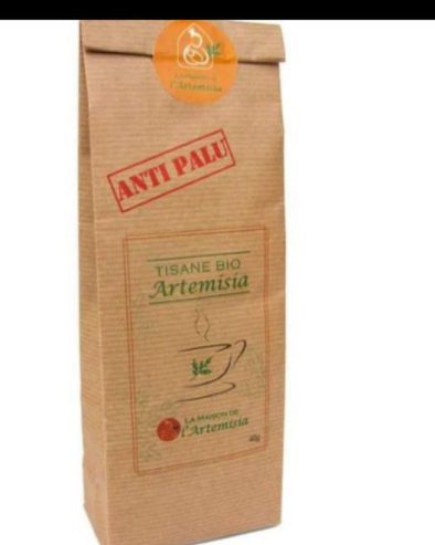 Tisane artemisia