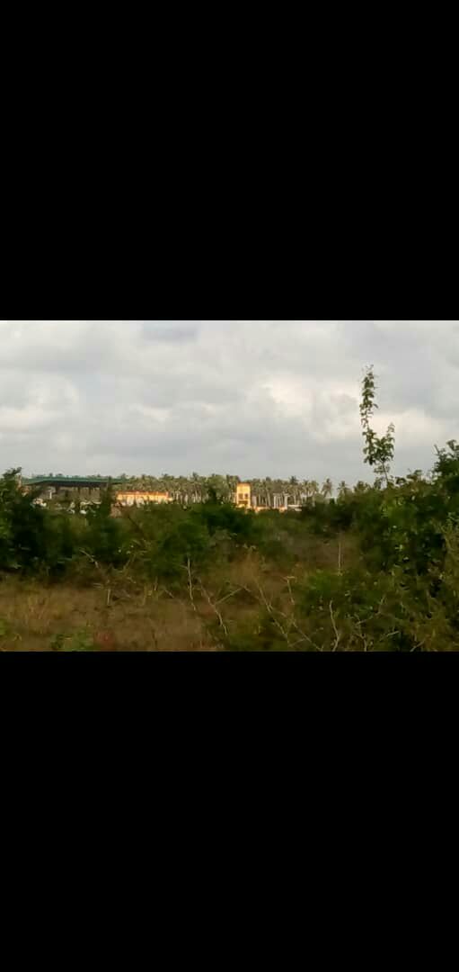 Parcelle à Ouidah Gbena à vendre