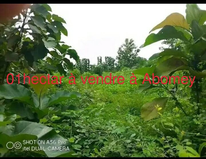 Hectare à Abomey Detohou à vendre
