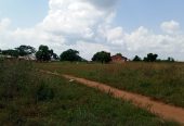 vente de 16 parcelles de 400m² sur TF dans la comm