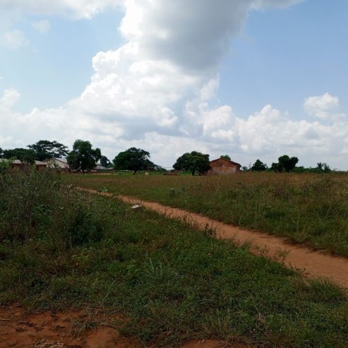 vente de 16 parcelles de 400m² sur TF dans la comm