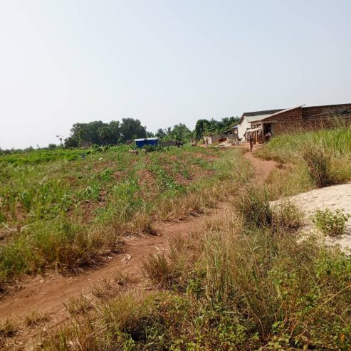 Au Bénin Opportunités immobilières à ZINVIE AGOLED