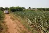 Au Bénin Opportunités immobilières à ZINVIE AGOLED