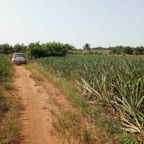 Au Bénin Opportunités immobilières à ZINVIE AGOLED