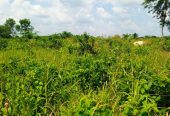 vente de 16 parcelles de 400m² sur TF dans la comm