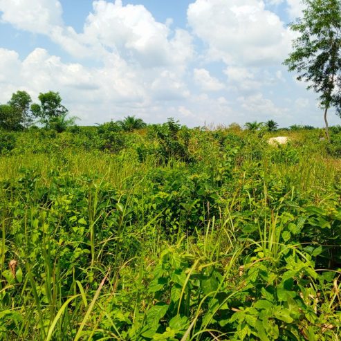 vente de 16 parcelles de 400m² sur TF dans la comm