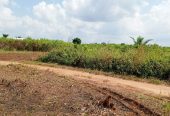 vente de 16 parcelles de 400m² sur TF dans la comm