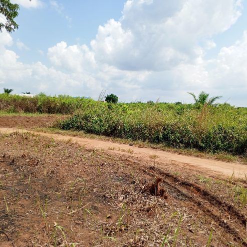 vente de 16 parcelles de 400m² sur TF dans la comm