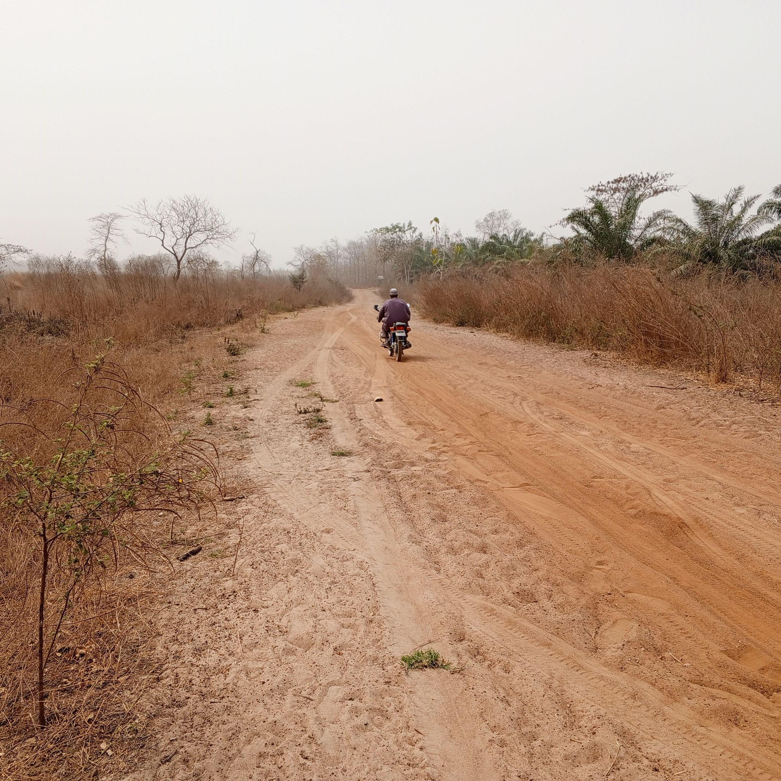 vente 100 hectares bénin à djidja Seto à 35min abo