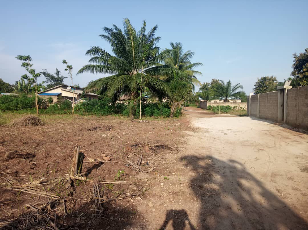 Vente 10 Parcelles 4000m² TF Zé GDIZ GLO DJIGBE