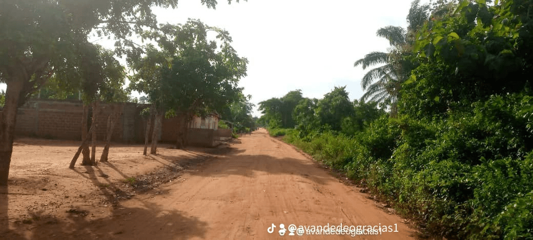 vente de 13 parcelles de 400m² TF Tori Bossito