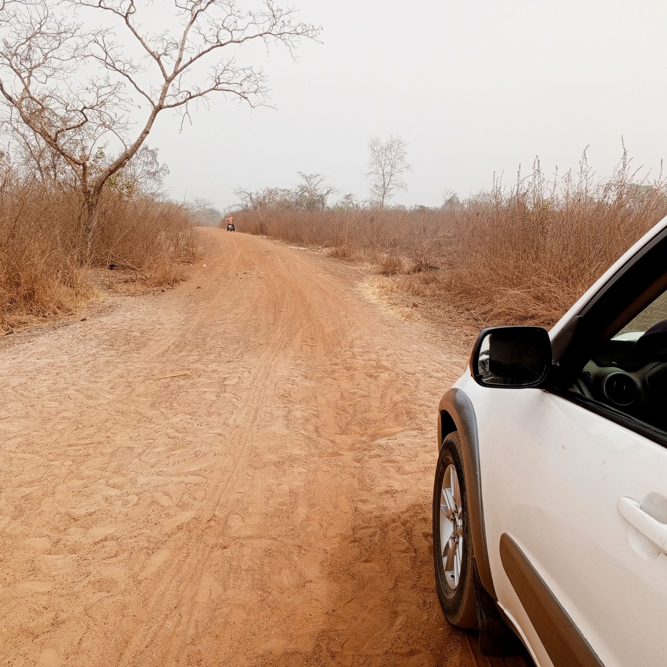 vente 100 hectares bénin à djidja Seto à 35min abo