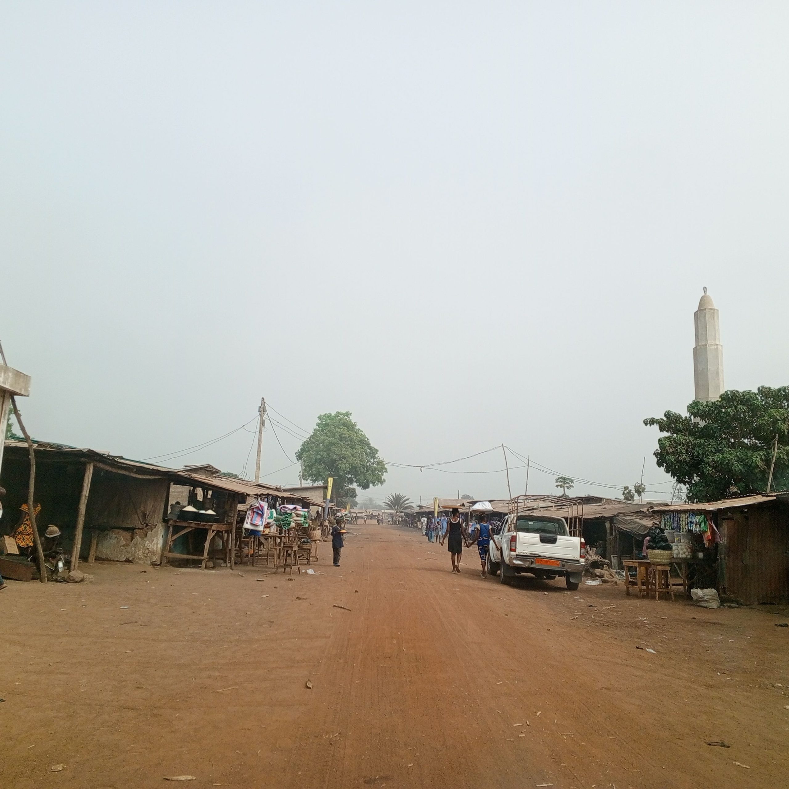vente 100 hectares bénin à djidja Seto à 35min abo