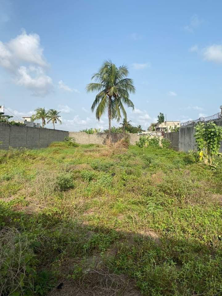 Parcelle a vendre a fidjrossè