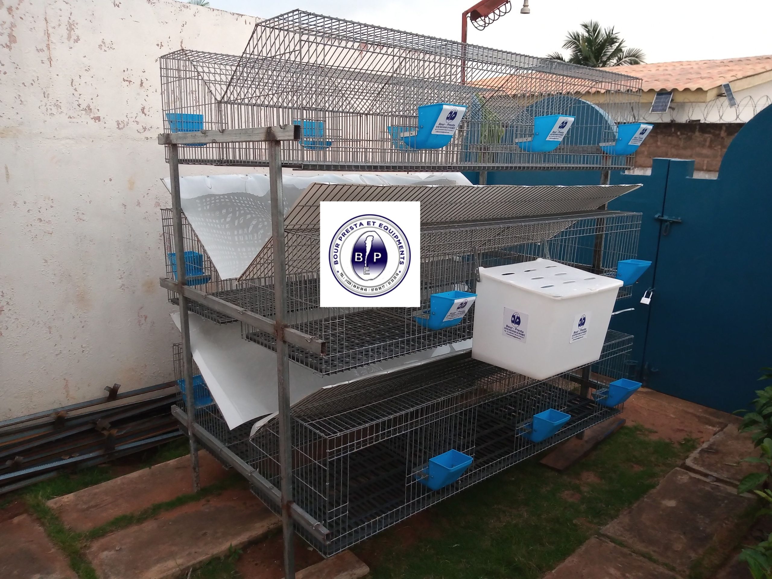 Cages sur batterie pour poulet