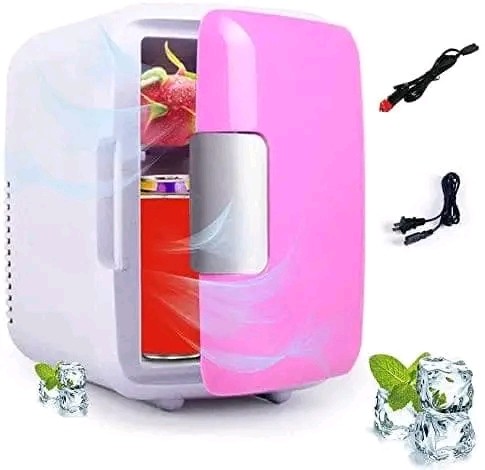 Mini frigo portable 4L (maison et voiture)